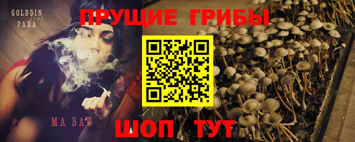 Псилоцибиновые грибы Magic Shrooms  Вход с VPN  магазин  наркотиков  Псилоцибиновые грибы ЛСД  Коряжма 