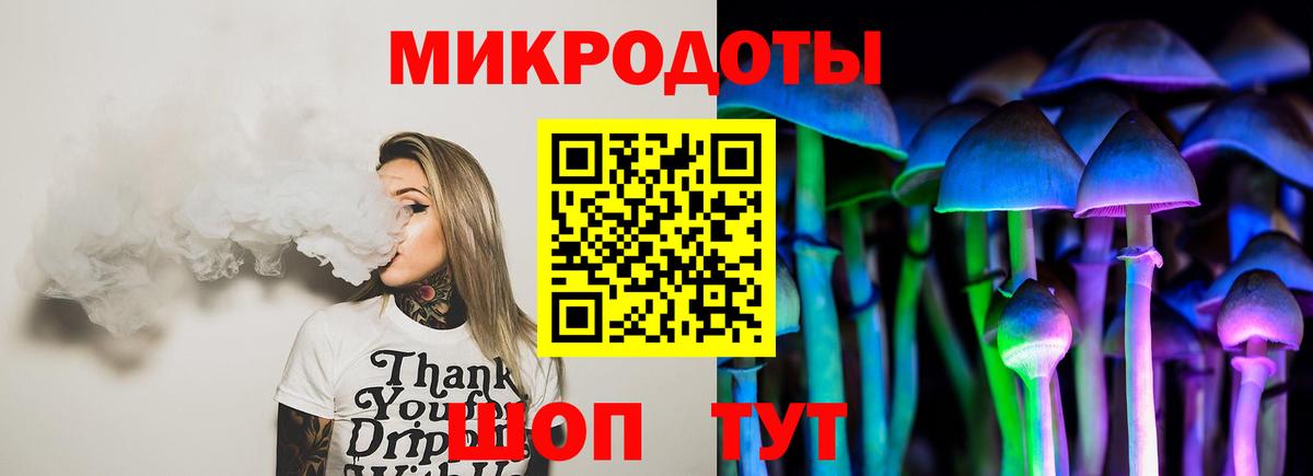 Псилоцибиновые грибы Psilocybe Коряжма